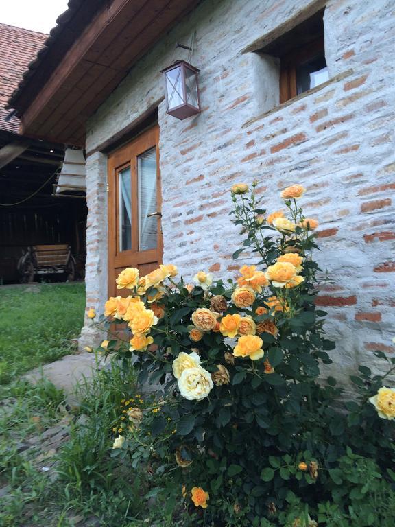 Dominic Boutique - Gardener'S Cottage Cloasterf Esterno foto